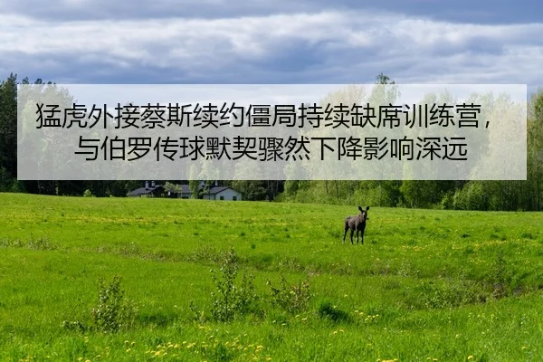 猛虎外接蔡斯续约僵局持续缺席训练营，与伯罗传球默契骤然下降影响深远